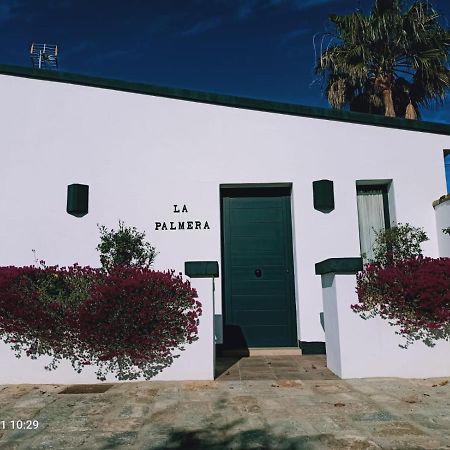 Casa La Palmera - Solo Familias Y Parejas Conil De La Frontera Dış mekan fotoğraf