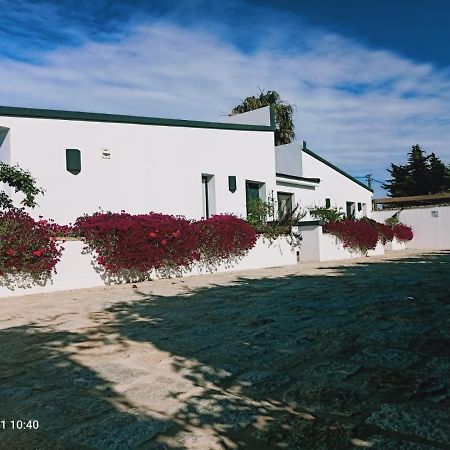 Casa La Palmera - Solo Familias Y Parejas Conil De La Frontera Dış mekan fotoğraf