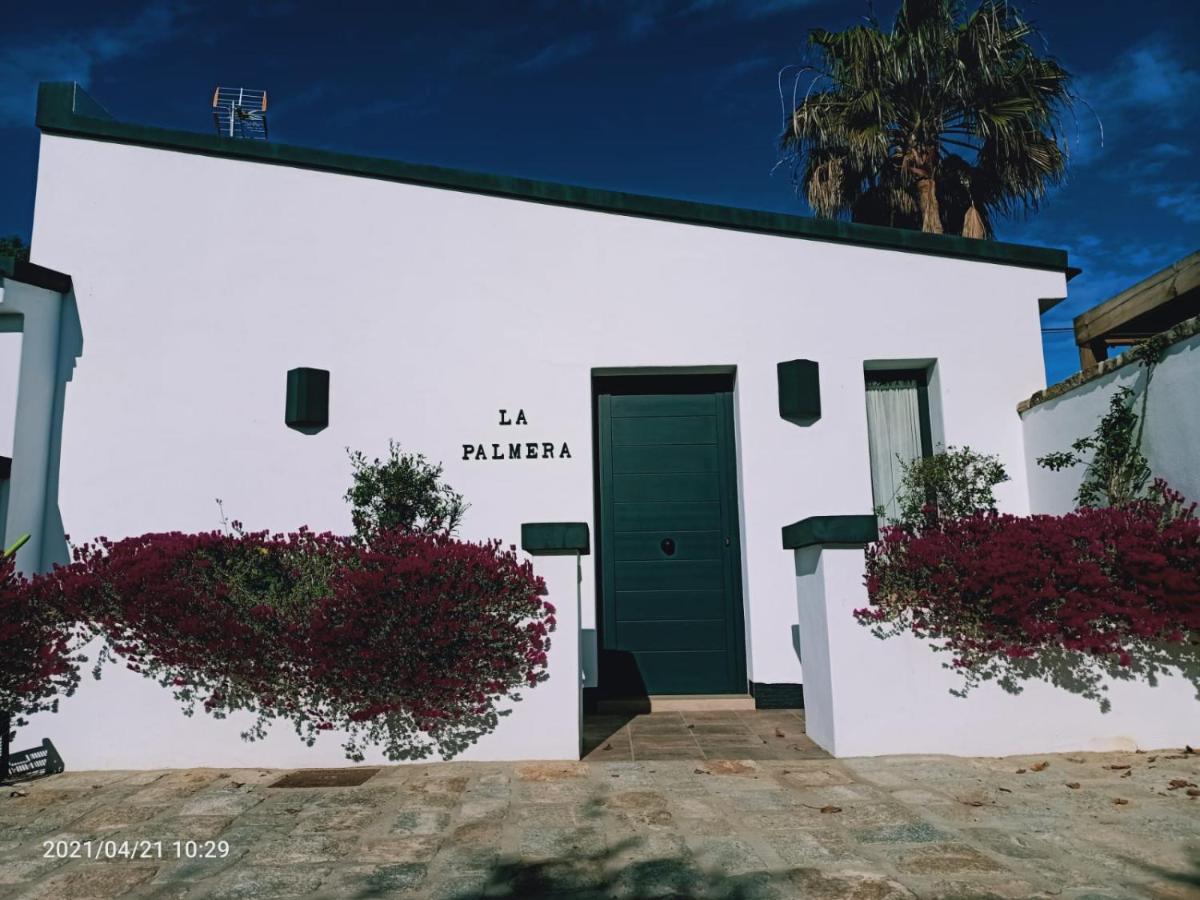 Casa La Palmera - Solo Familias Y Parejas Conil De La Frontera Dış mekan fotoğraf